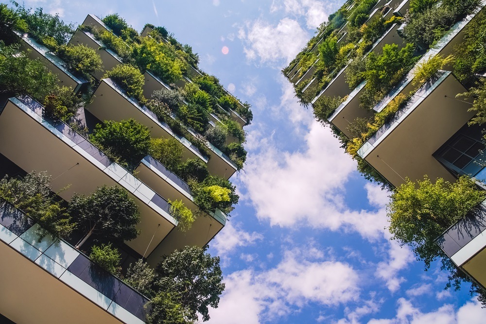 Biomimicry: a solution for more sustainable buildings
