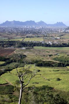 Moka confirms its status of highly coveted region