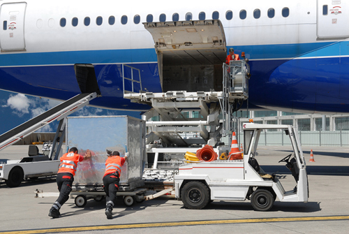 4. Luggage and Flight Requirements