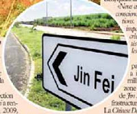 jin-fei-2