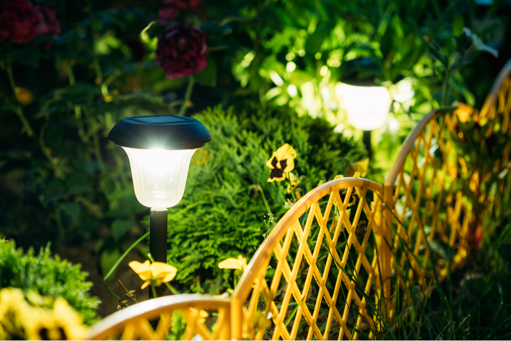 This year, brighten up with green energy!
