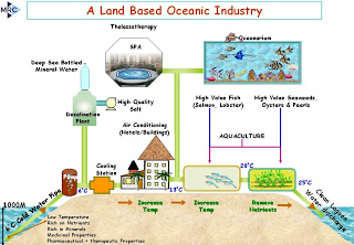 Land-based Oceanic Industry: A 115 Hectares Business Park at Flic en Flac