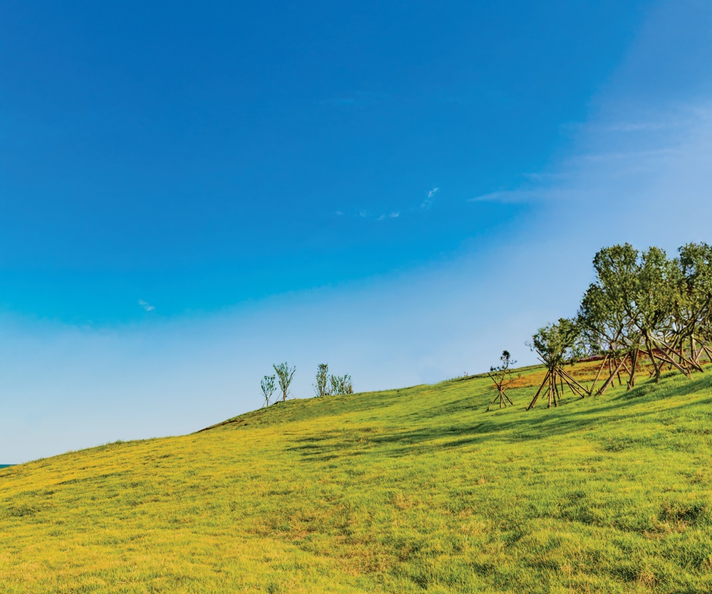 How do you build safely on a sloping plot?