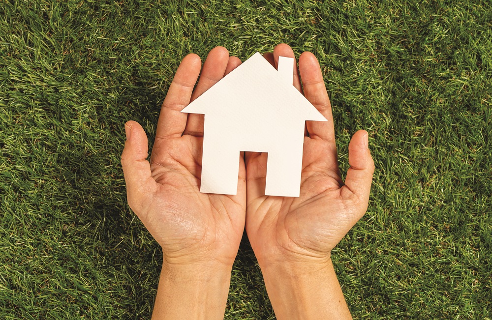 Éco-construction : pour des maisons respectueuses de l'environnement