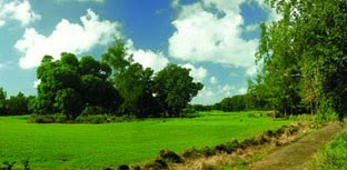 Terrains à vendre à Anahita pour construire la maison de son choix