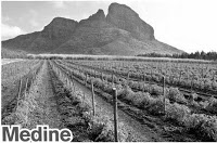 Medine 100e anniversaire sous le signe de l’innovation