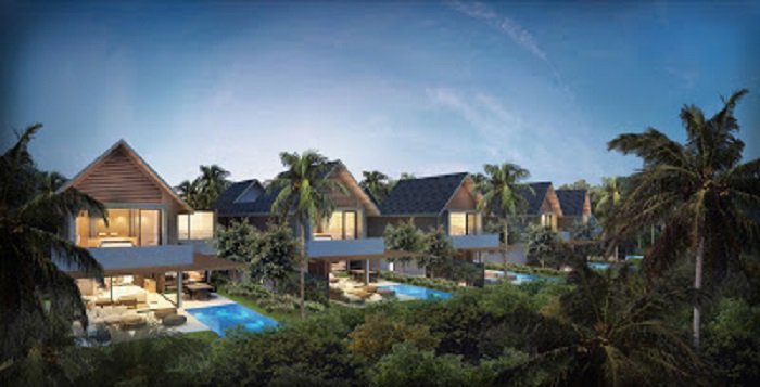 banyan grove