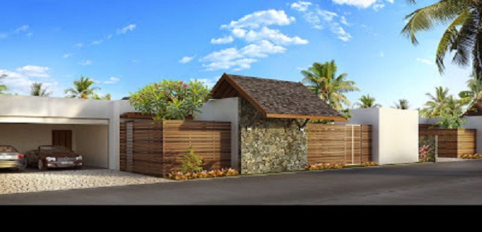 palm grove