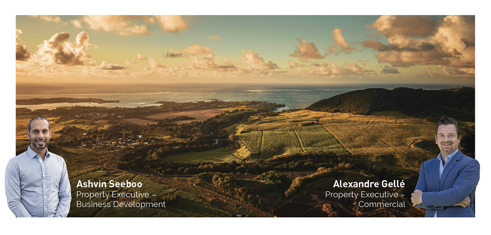 Alteo's real estate division undergoes structural changes and gains momentum! 